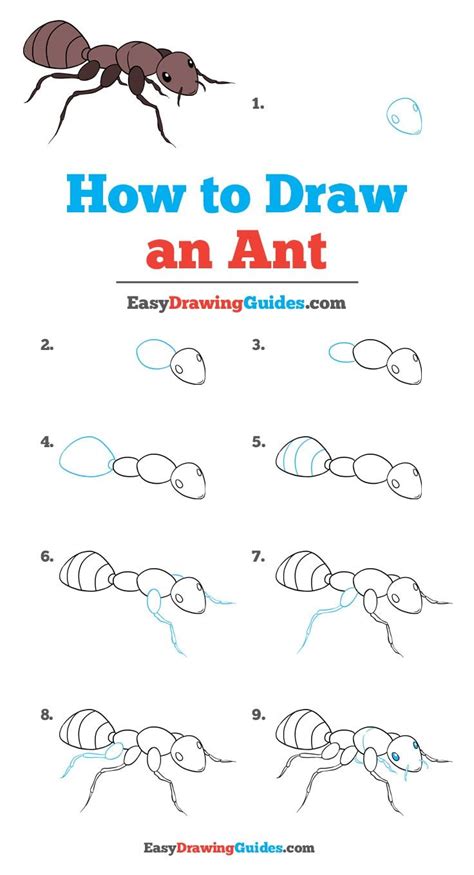 螞蟻畫法|簡單幾步畫出可愛小螞蟻｜Simple Steps to Draw an Ant｜昆蟲及 